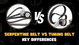 Serpentine Belt vs Timing Belt