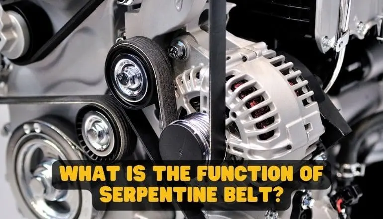 Function of the Serpentine Belt